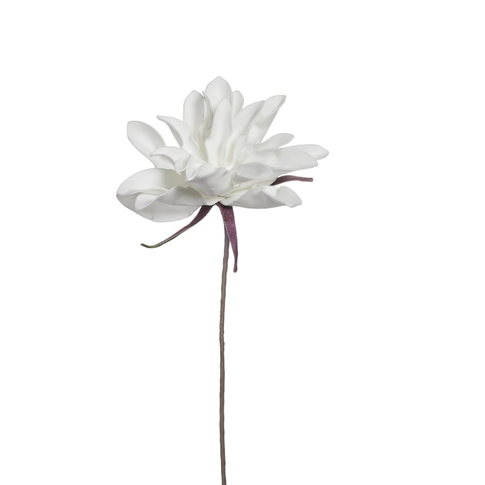 p_A00026253_default_1.jpg