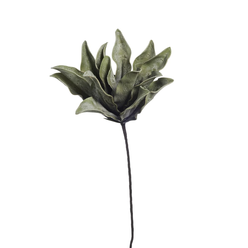 p_A00026260_default_1.jpg