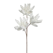Happia Dekorationsblomma H17, Vit