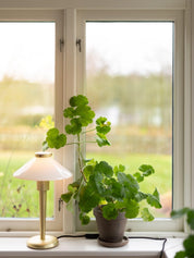 PR Home August Bordslampa Opal 34cm - Azalea Home