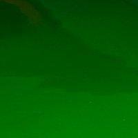 PR Home Axel Vägglampa Grön 25cm - Azalea Home