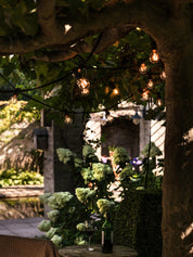 PR Home Bright light Pkt inkl. clear bulbs - Azalea Home