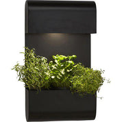 PR Home Planta vägglampa Svart, 70x40cm - Azalea Home