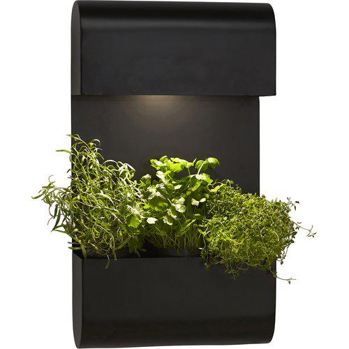 PR Home Planta vägglampa Svart, 70x40cm - Azalea Home