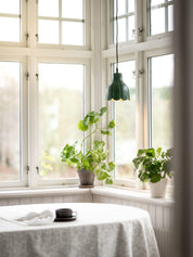 PR Home Tulippa Fönsterlampa Grön 17cm - Azalea Home