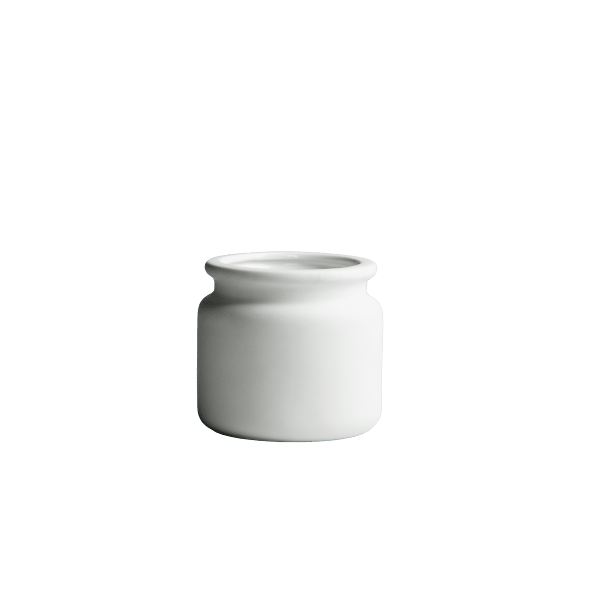 pure10v_pure_mini_vit.png
