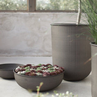OUT Bowl 3-Pack, brun