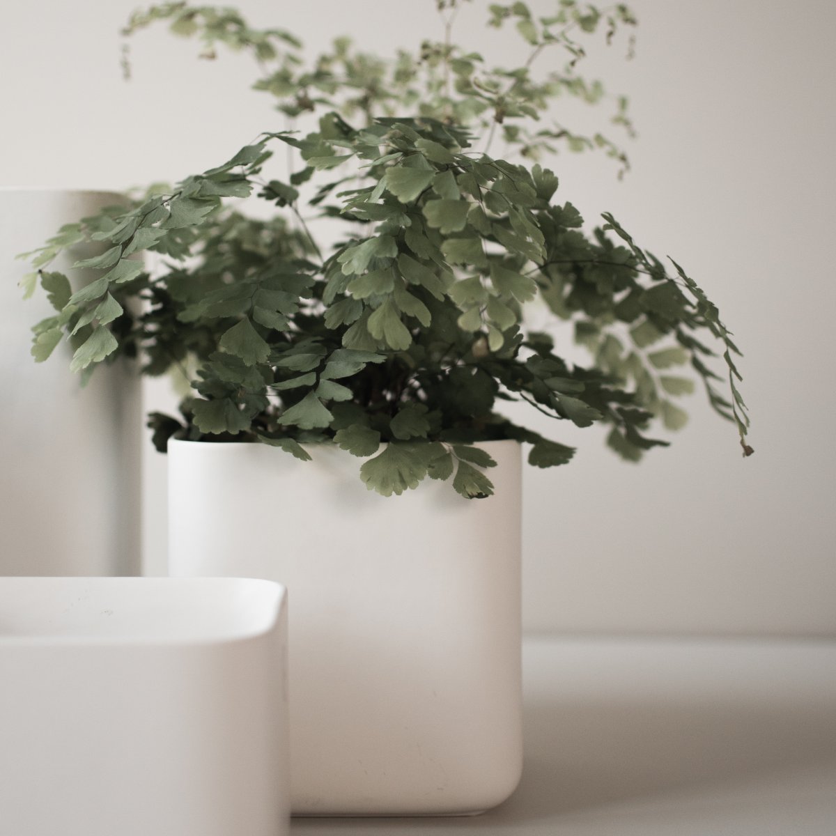 CUBE Kruka Small H15cm, Vit