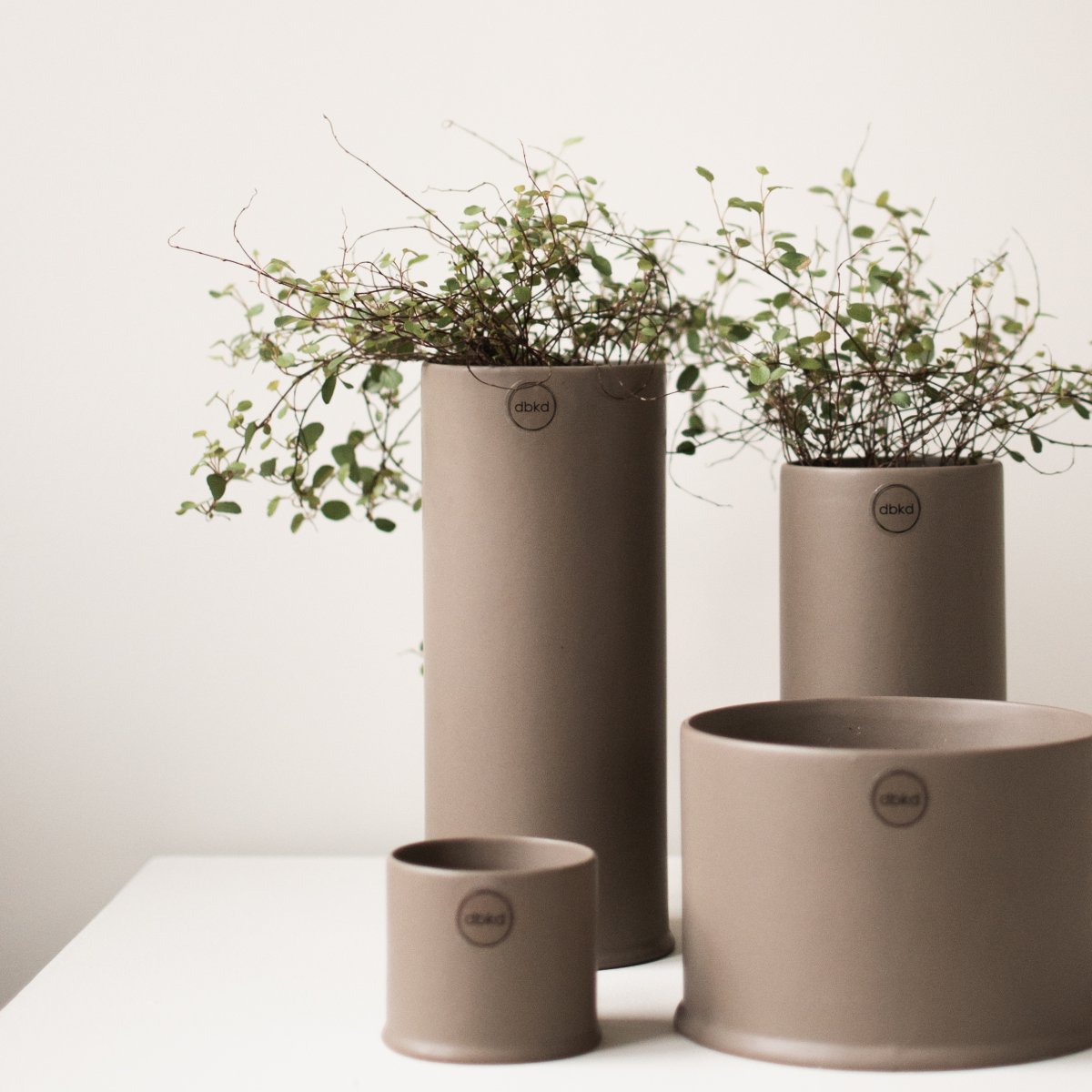 ss23_astillbe_square-18.jpg