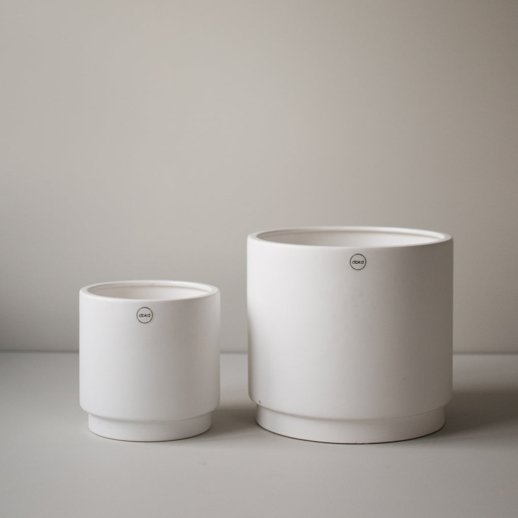 ss23_solid_white_square-1.jpg
