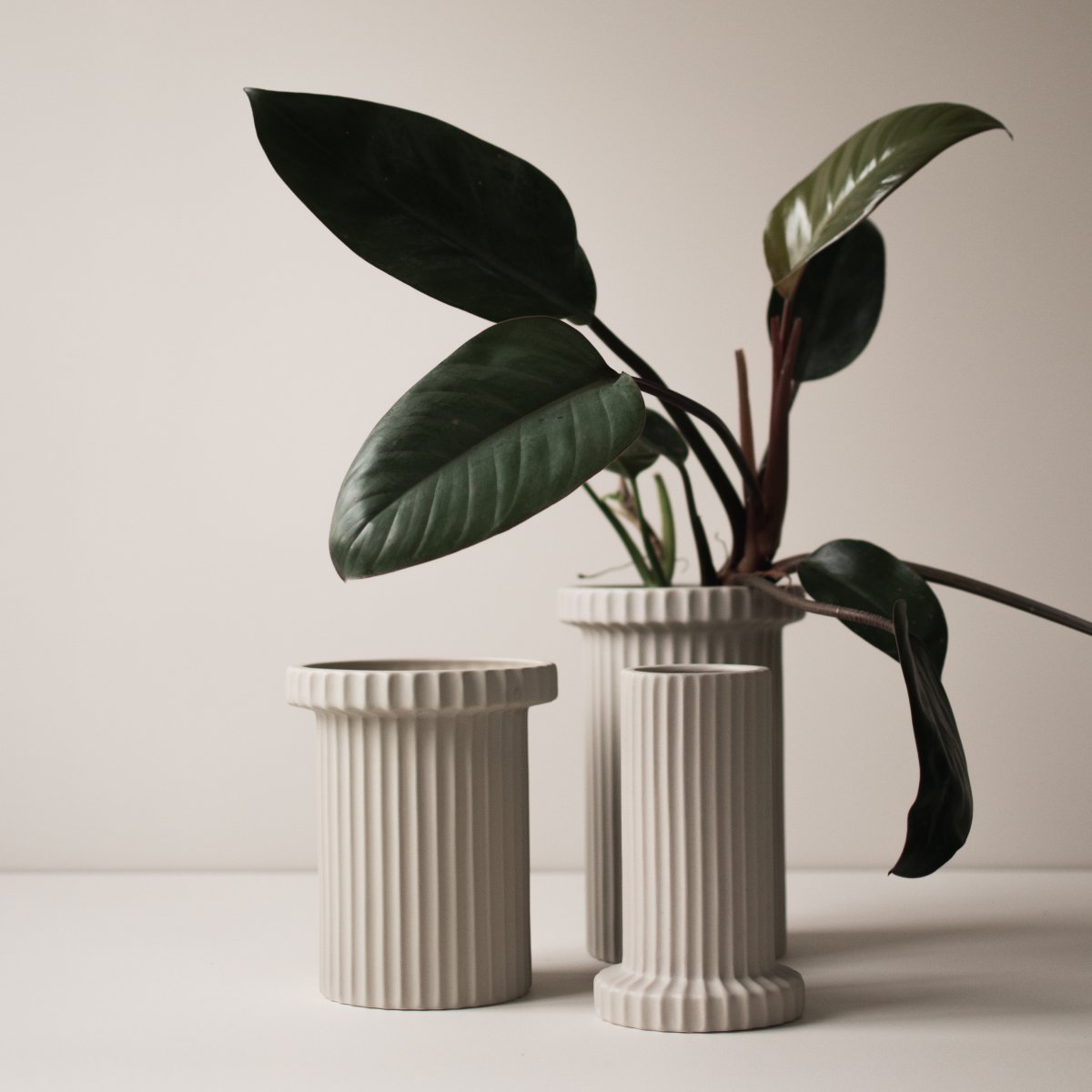 STRIPE Vas, sandy mole
