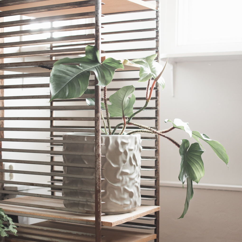 ss23_swoon_square-2.jpg