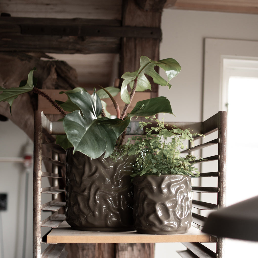 ss23_swoon_square-4.jpg