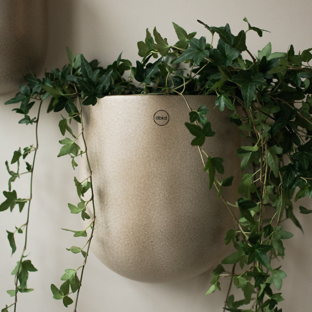CUT Vägghängd Kruka XL, Beige