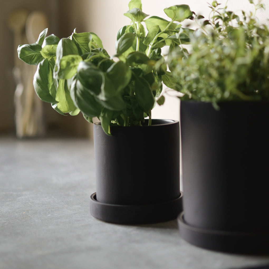 GROW Kruka Small Ø10, Svart