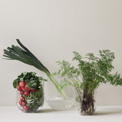 SIMPLE Vas clear, large