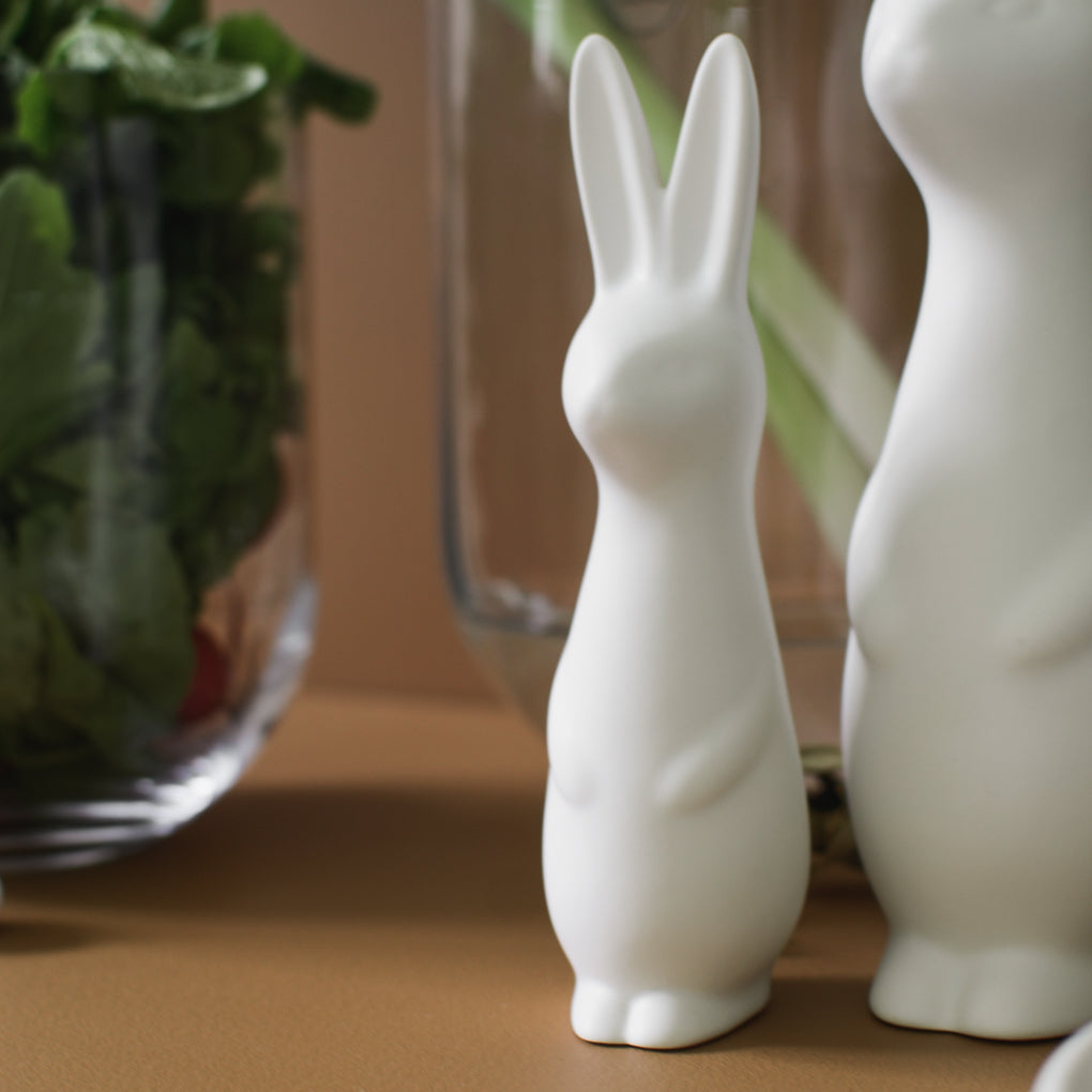 ss24_swedish_rabbit_square-02.jpg