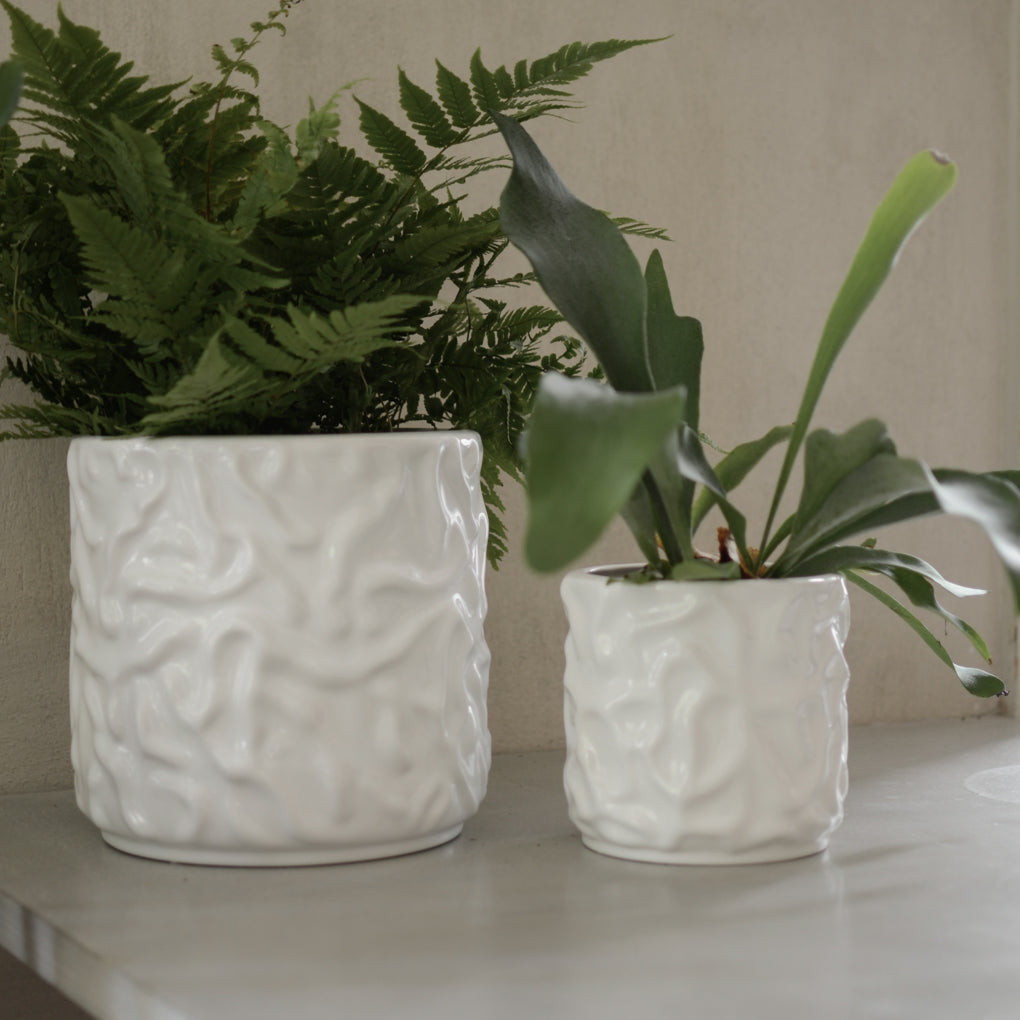ss24_swoon_square-14.jpg