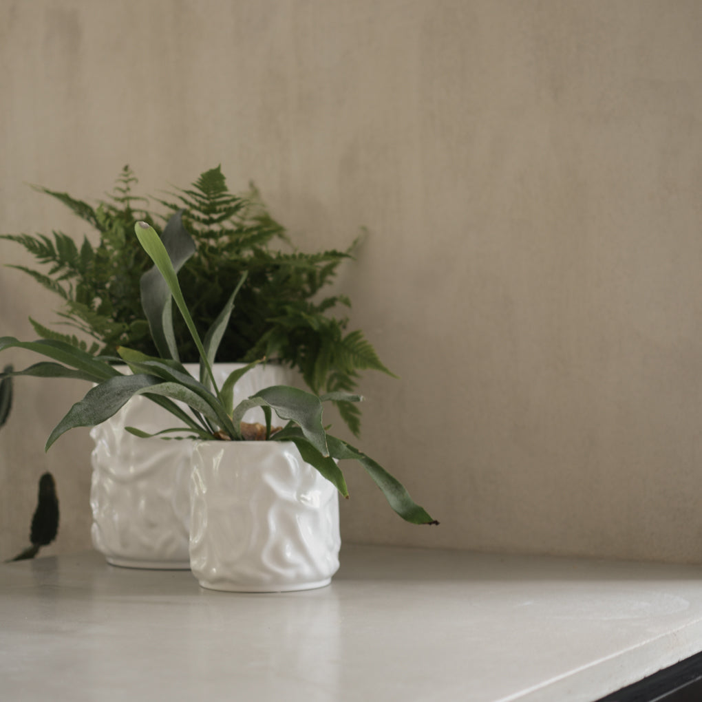 ss24_swoon_square-18.jpg