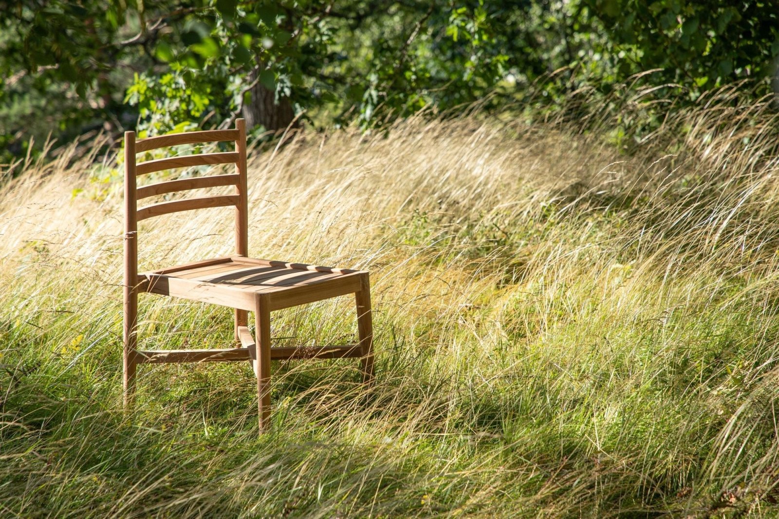 Venture Home Kenya Matstol, Natur - Azalea Home